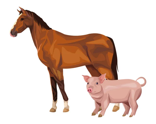 Cavalo e porco — Vetor de Stock