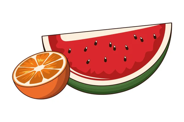 Orange och vattenmelon — Stock vektor