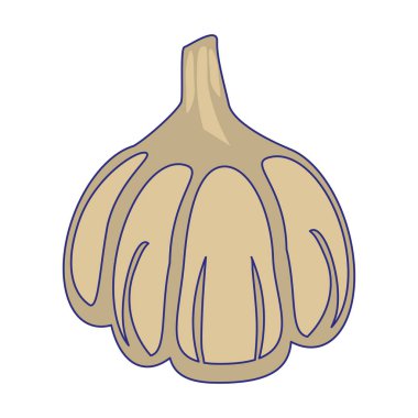 Sarımsak taze sebze izole mavi çizgiler