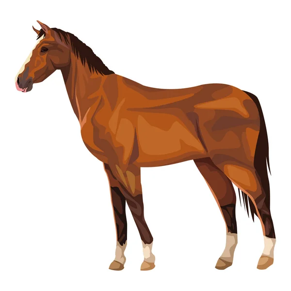 Cavallo icona cartone animato — Vettoriale Stock