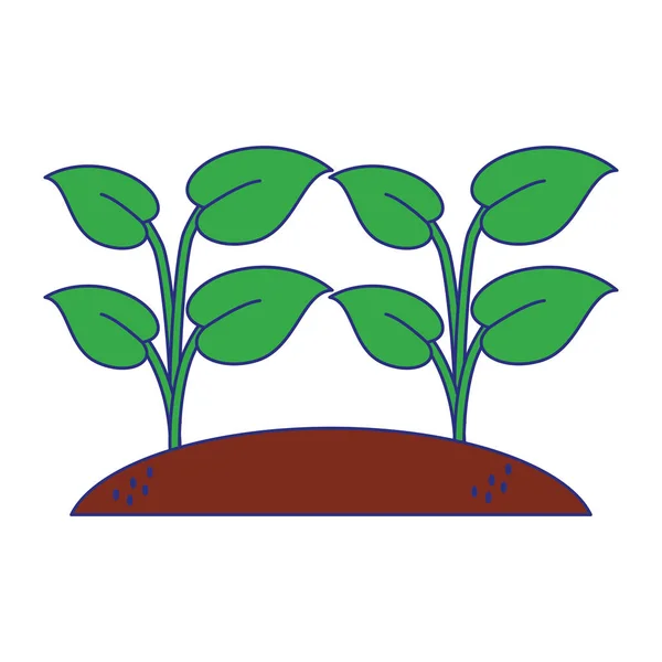 Plantas semeadas jardim desenhos animados linhas azuis — Vetor de Stock