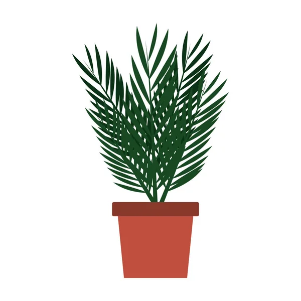 Planta en maceta aislada — Vector de stock