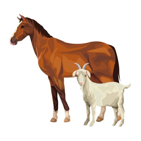 Horse and goat — Stock Vector