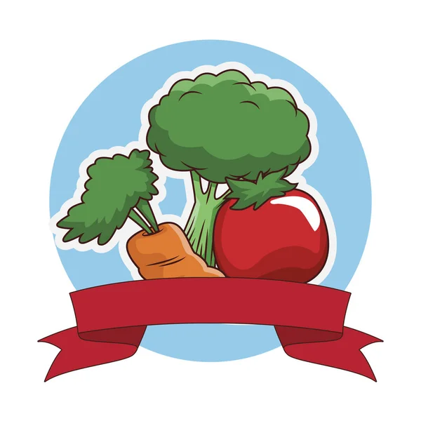 Broccoli tomat och morot — Stock vektor