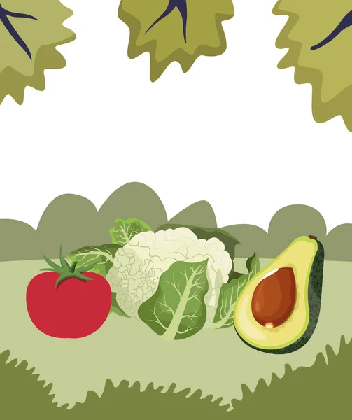Мультфильм о овощах — стоковый вектор