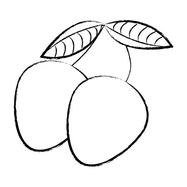 Bosquejo aislado de frutas de mangos — Vector de stock