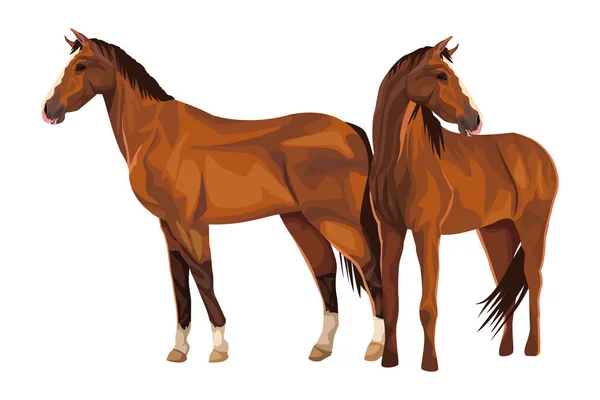 Häst ikonen tecknad — Stock vektor