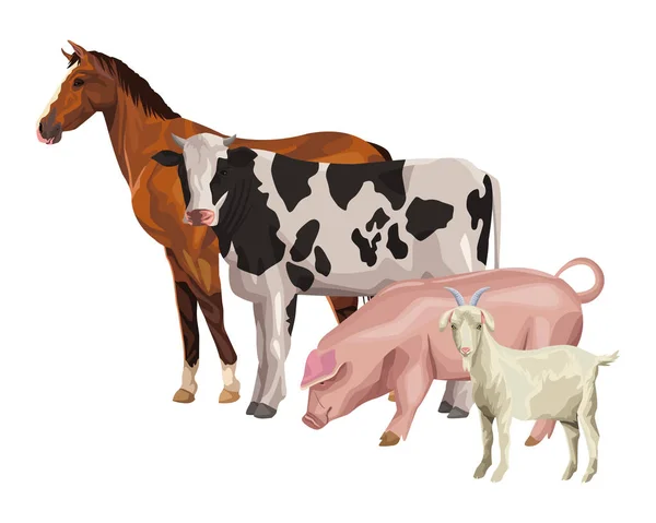 Horse cow pig and goat — Stock Vector