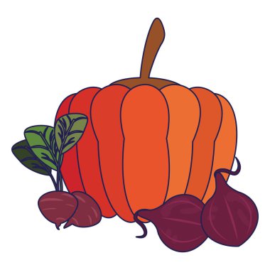 Sebze kabak ve turp mavi hatları