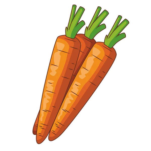 Carrots vegetables isolated — Stock Vector