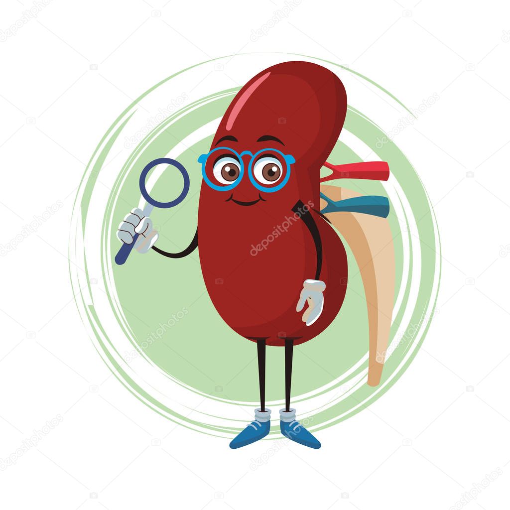 Kidney funny cartoon