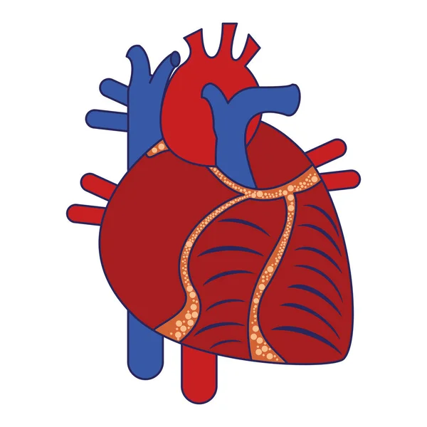 Corazón humano dibujos animados líneas azules aisladas — Archivo Imágenes Vectoriales
