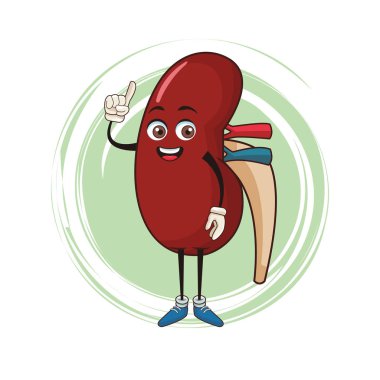 Böbrek komik karikatür