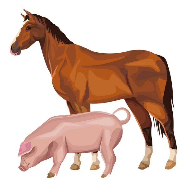 Cavalo e porco — Vetor de Stock