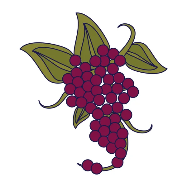 Виноград фрукты мультфильм изолирован — стоковый вектор