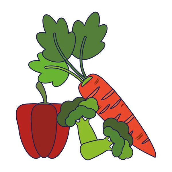 Peppar och broccoli med morötter blå linjer — Stock vektor