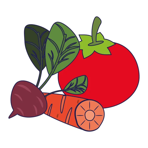 番茄和胡萝卜，萝卜蓝线 — 图库矢量图片