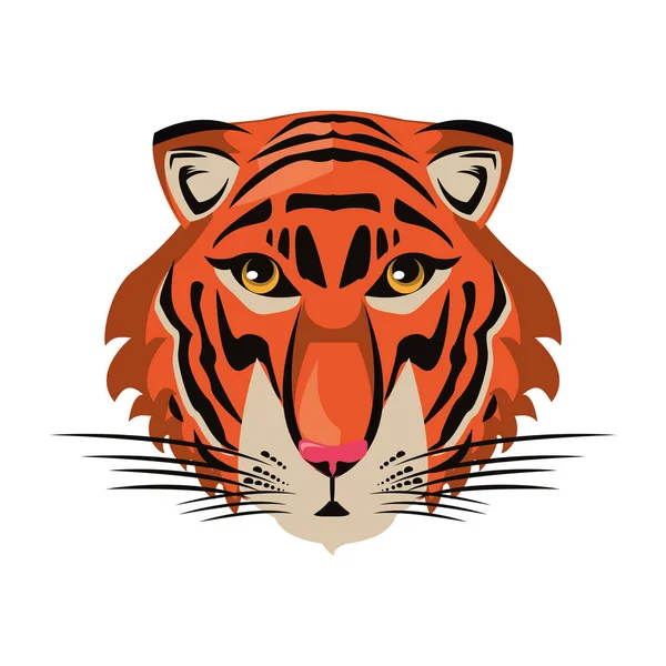 Tiger Face hűvös vázlat — Stock Vector