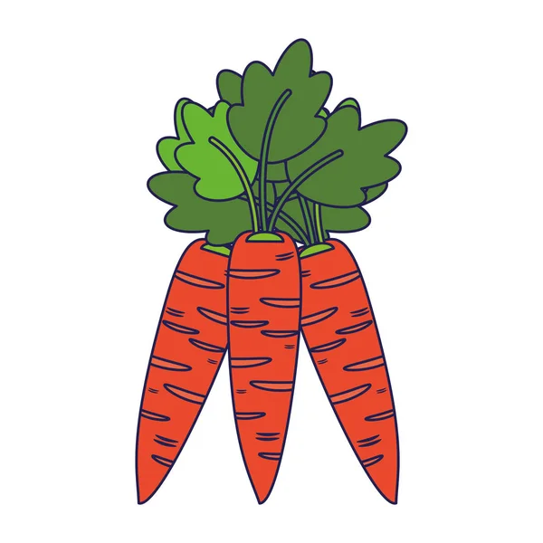 Carrots fresh vegetables cartoon blue lines — Stock Vector