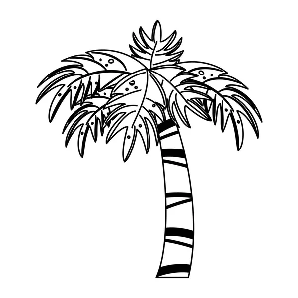 Spiaggia palma isolata — Vettoriale Stock