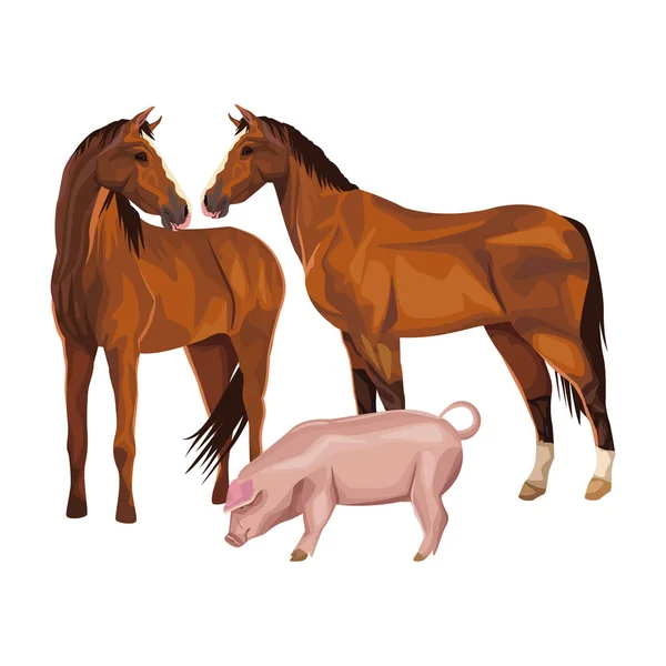 Horse and pig — Stock Vector