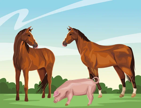 Koně a prasata — Stockový vektor