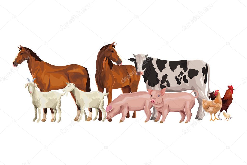 horse cow pig goat rooster hen