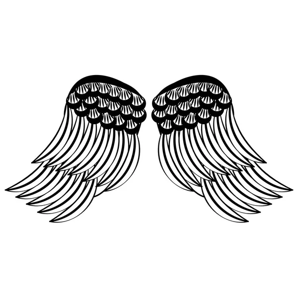 Alas de aves aisladas en blanco y negro — Vector de stock