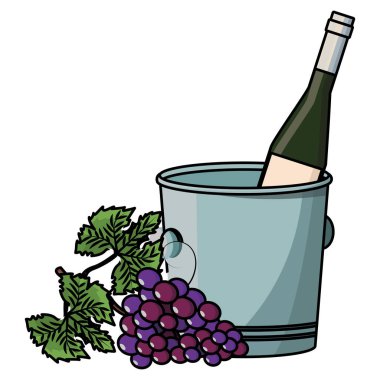 kova ve üzüm şarap şişesi