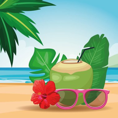 hindistan cevizi içecekler ve güneş gözlüğü