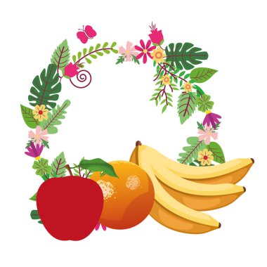 meyve simgesi karikatür