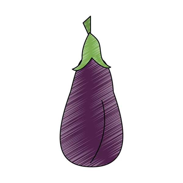 Aubergine légumes frais gribouillage — Image vectorielle