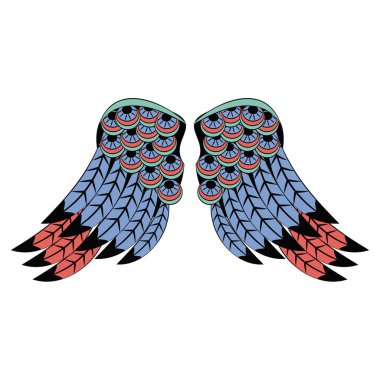 Kuş kanatları izole