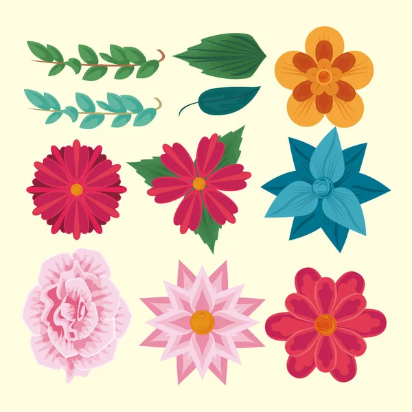 Raccolta di fiori e foglie — Vettoriale Stock