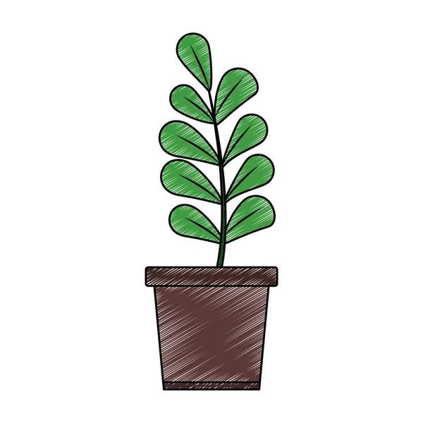 Растение в горшке изолированные каракули — стоковый вектор