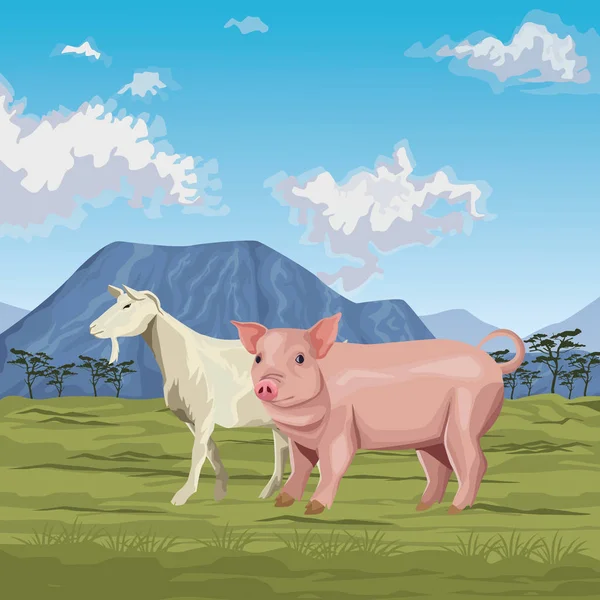 Pig and goat — Stock Vector