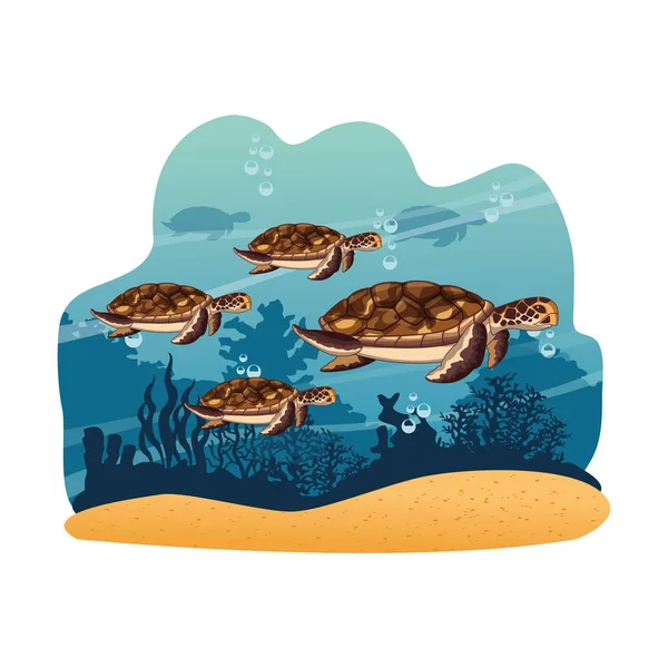 Tortues marines nageant dans la mer — Image vectorielle