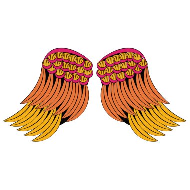 Kuş kanatları izole