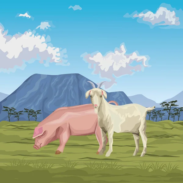 Cerdo y cabra — Archivo Imágenes Vectoriales