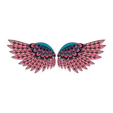 Kuş kanatları izole