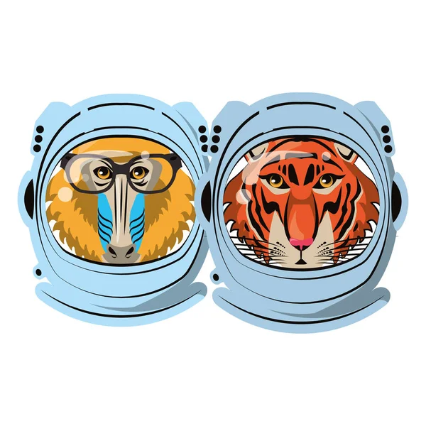 Mandrill und tiger face cool sketch — Stockvektor
