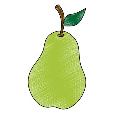 Armut meyve izole karalama