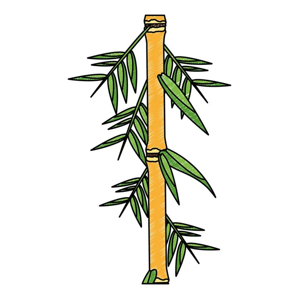 Bambú asiático planta garabato — Vector de stock