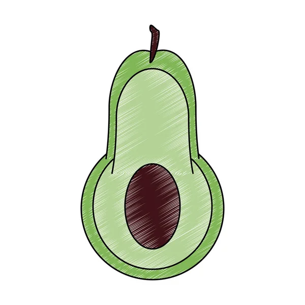 Garabato de aguacate vegetal fresco — Vector de stock