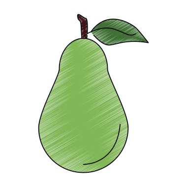 Armut doğal meyve karalama