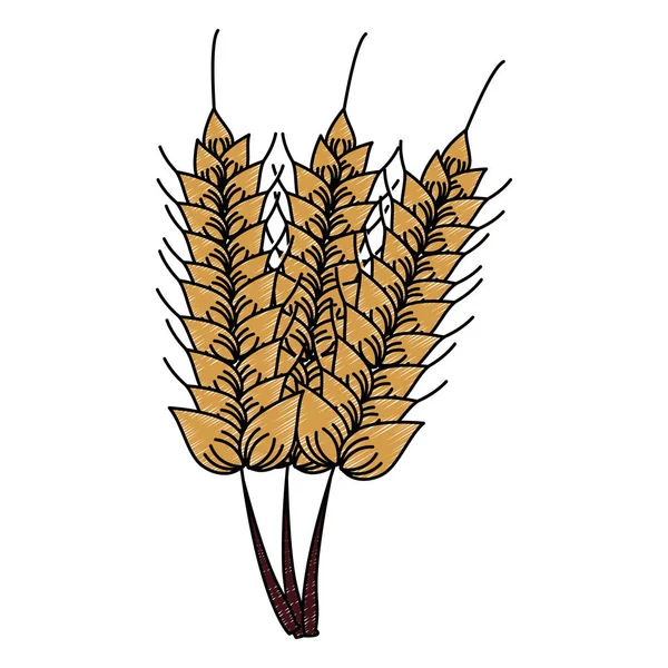 Wheat food natural scribble — 스톡 벡터