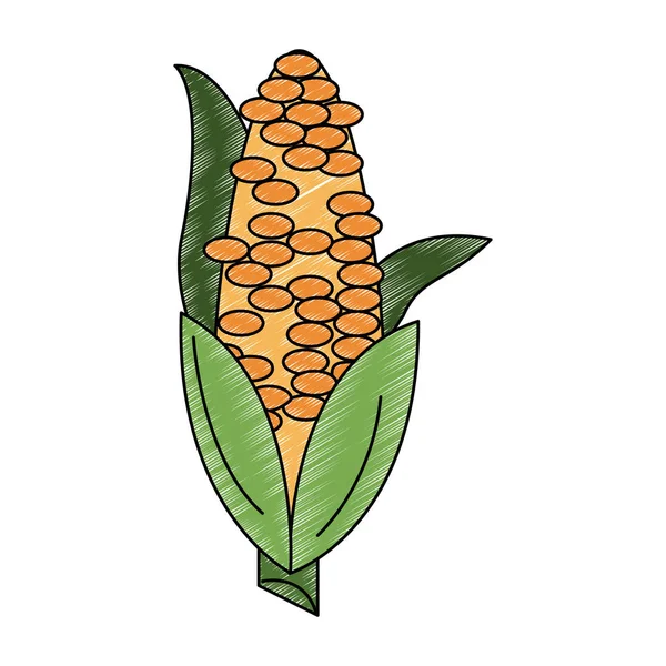 Maïs légumes frais gribouillage — Image vectorielle