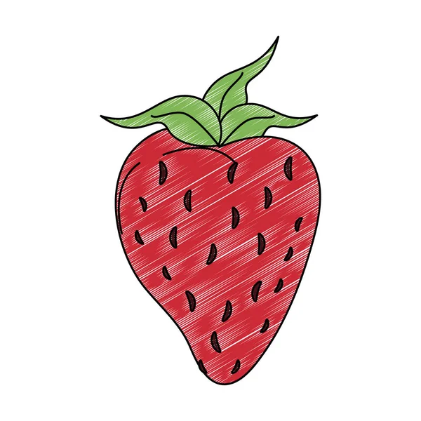 딸기 천연 과일 낙서 — 스톡 벡터