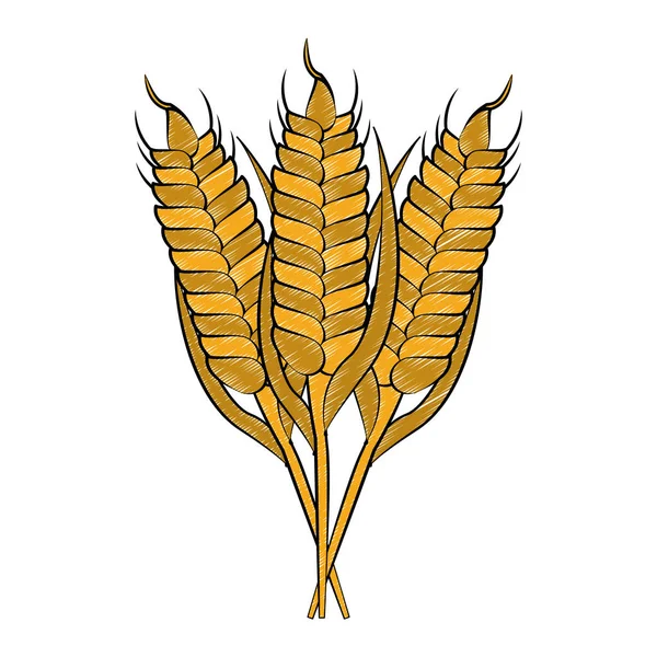Wheat food symbol scribble — Stock Vector