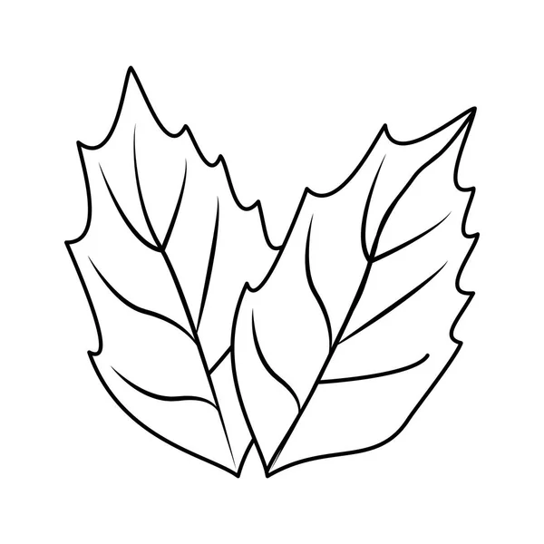 Espinafre folhas de ervas desenhos animados em preto e branco — Vetor de Stock